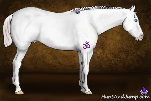 Horse Color:Chocolate Palomino Pearl Appaloosa 