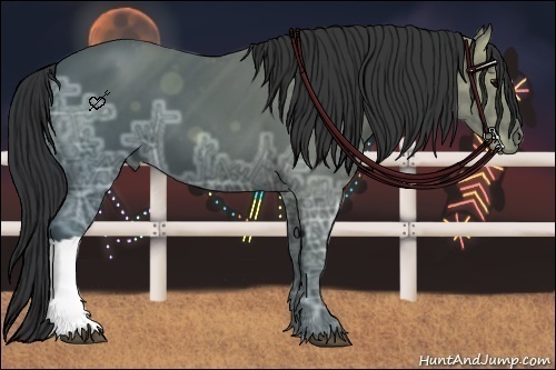 Horse Color:Black Ice 