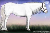 Horse Color:Palomino Ice Splash Appaloosa 