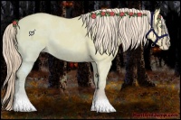 Horse Color:Gold Cream Champagne Ice Dun 