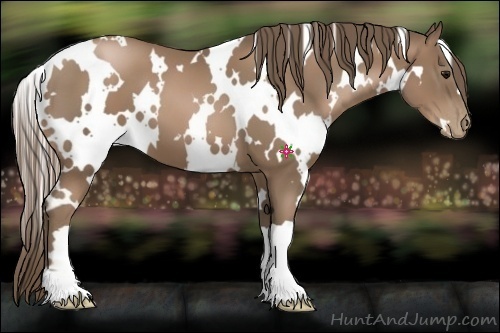 Horse Color:White Spotted Black Pearl 