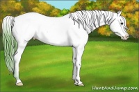 Horse Color:Watercolor Brown Snowcap