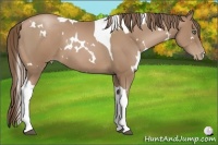 Horse Color:White Spotted Black Pearl Tobiano