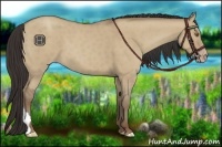 Horse Color:Classic Champagne Dun 