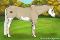 Horse Color:Silver Smoky Grullo Splash Frame