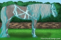 Horse Color:Thunderstruck Silver Blue Roan 