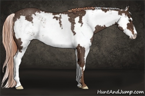 Horse Color:Liver Chestnut Sabino Frame Rabicano