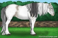 Horse Color:White Spotted Bay Ice Dun Splash