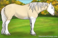 Horse Color:Silver Classic Cream Champagne Dun Splash 