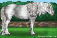 Horse Color:White Spotted Silver Black Ice Splash 