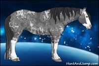 Horse Color:Black Ice Splash