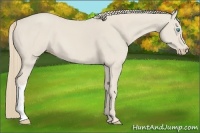 Horse Color:Smoky Creme 