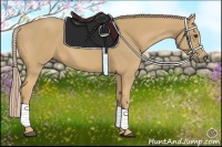 Horse Color:Palomino 