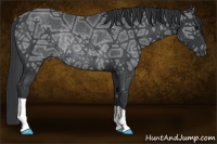 Horse Color:Black Ice Rabicano 