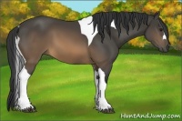 Horse Color:Buckskin Tobiano 