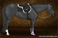 Horse Color:Smoky Black 