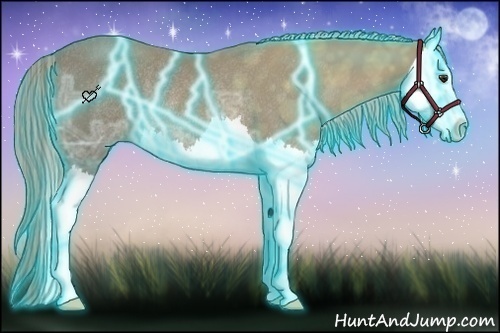 Horse Color:Thunderstruck Chocolate Palomino Ice Splash Rabicano 