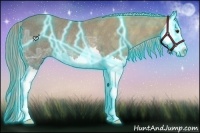 Horse Color:Thunderstruck Chocolate Palomino Ice Splash Rabicano 