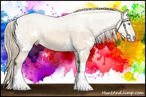 Horse Color:White Spotted Perlino 