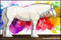Horse Color:White Spotted Perlino