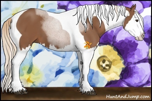 Horse Color:Chestnut Splash Tobiano