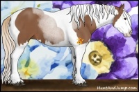 Horse Color:Chestnut Splash Tobiano