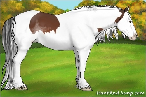 Horse Color:Bay Sabino Splash Tobiano 
