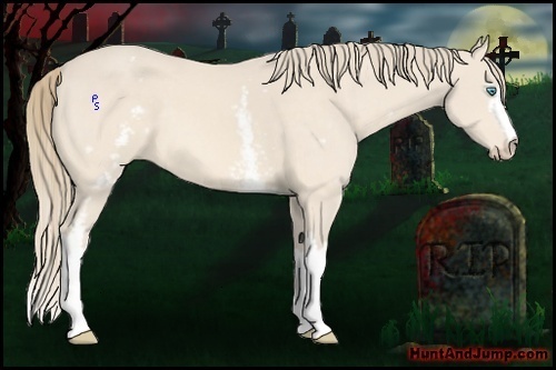 Horse Color:White Spotted Perlino 