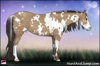 Horse Color:White Spotted Classic Champagne Splash Frame