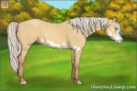 Horse Color:Silver Sable Champagne Dun Splash Frame 