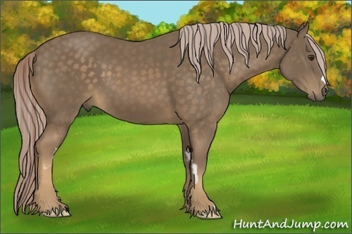 Horse Color:Chocolate Palomino Frame 