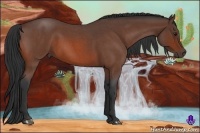 Horse Color:Bay Roan Sabino