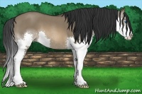 Horse Color:Brown Roan Dun Splash 