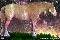 Horse Color:White Spotted Chestnut Splash 