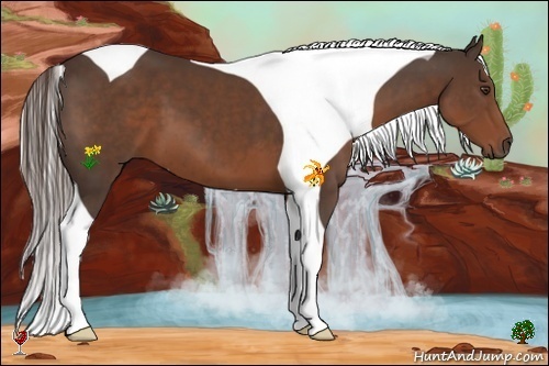 Horse Color:Liver Chestnut Tobiano 