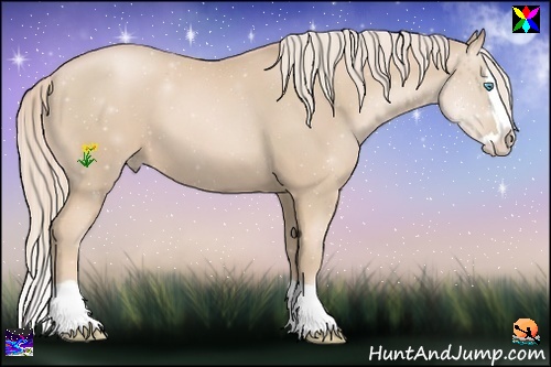 Horse Color:Palomino Pearl Splash 
