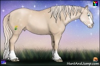 Horse Color:Palomino Pearl Splash 