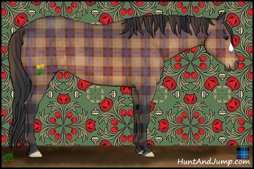 Horse Color:Plaid Bay