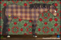 Horse Color:Plaid Bay
