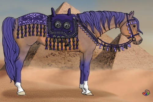 Horse Color:Watercolor Bay 