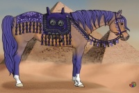 Horse Color:Watercolor Bay 