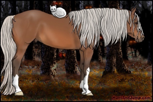 Horse Color:Silver Bay 