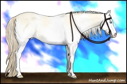 Horse Color:White Spotted Perlino Dun 