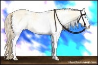 Horse Color:White Spotted Perlino Dun