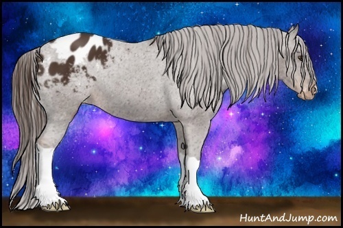 Horse Color:Liver Chestnut Blanket 