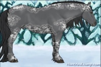 Horse Color:Black Ice 