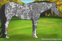 Horse Color:Black Ice 