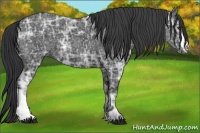 Horse Color:Black Ice 