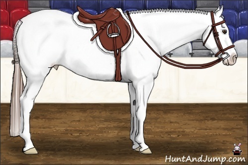 Horse Color:Liver Chestnut Tobiano Fewspot 