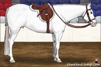 Horse Color:Liver Chestnut Tobiano Fewspot